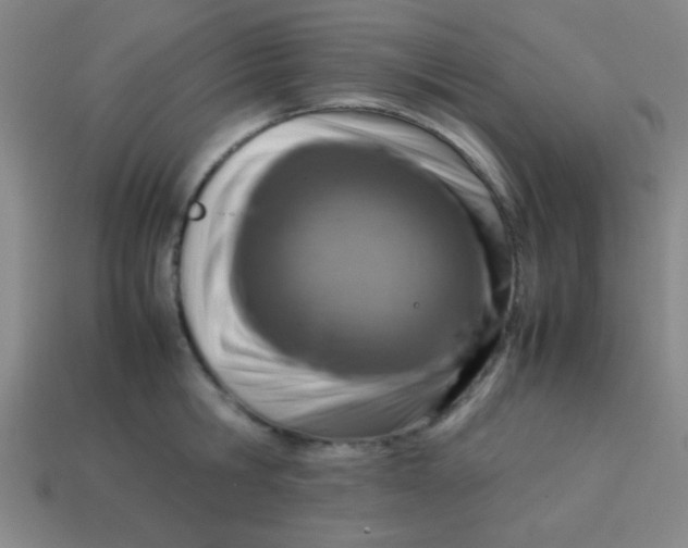 X0000113780806200910211204