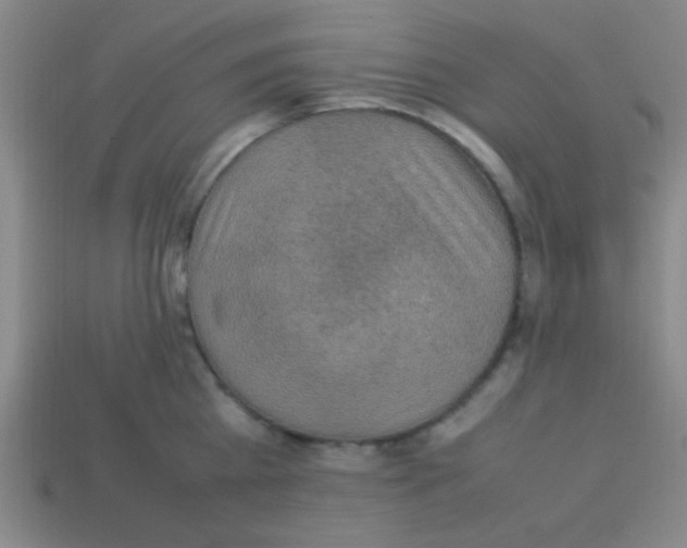 X0000113780809200910211204