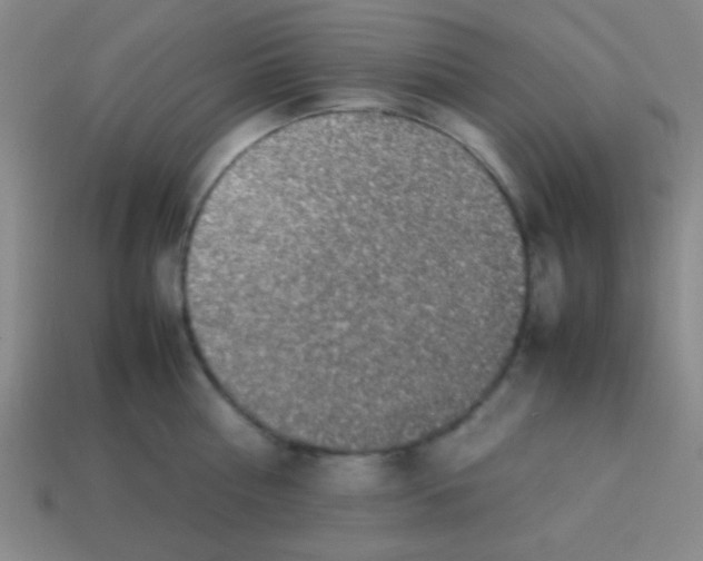 X0000113780810200910211204