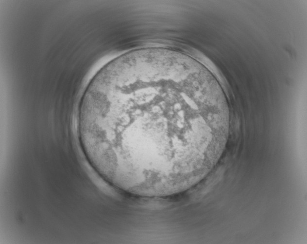 X0000113780811200910211204