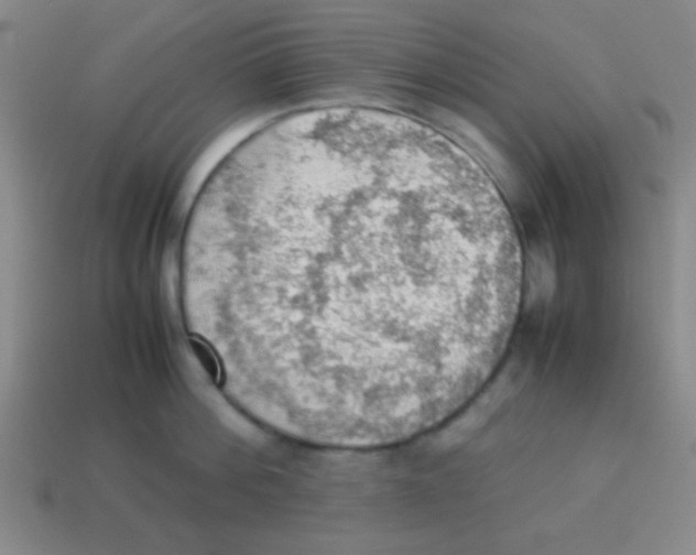 X0000113780812200910211204