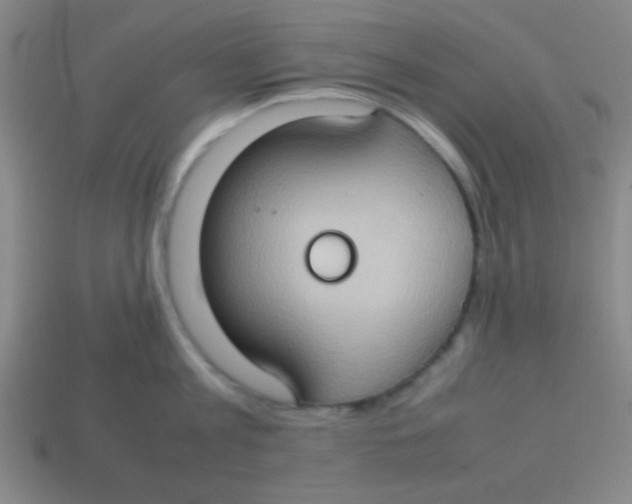 X0000113780813200910211204