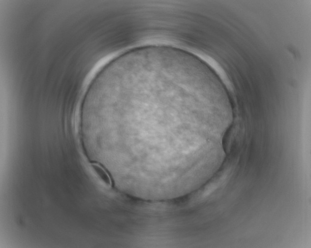 X0000113780815200910211204