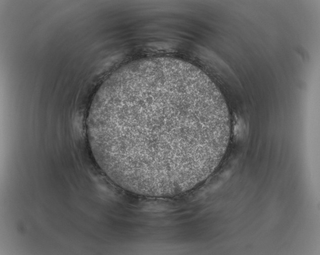 X0000113780819200910211203