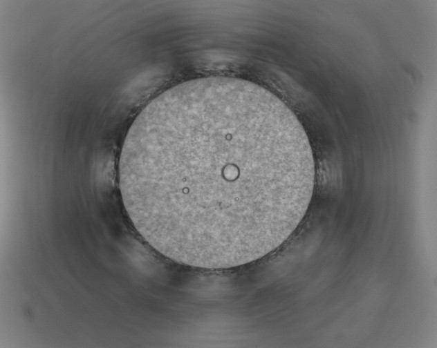 X0000113780820200910211203