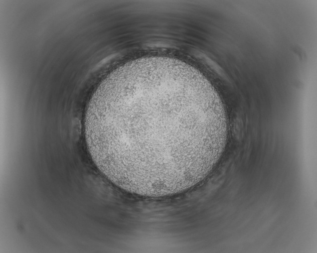 X0000113780821200910211203