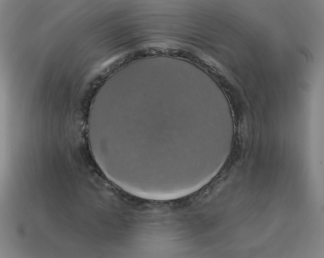 X0000113780822200910211203