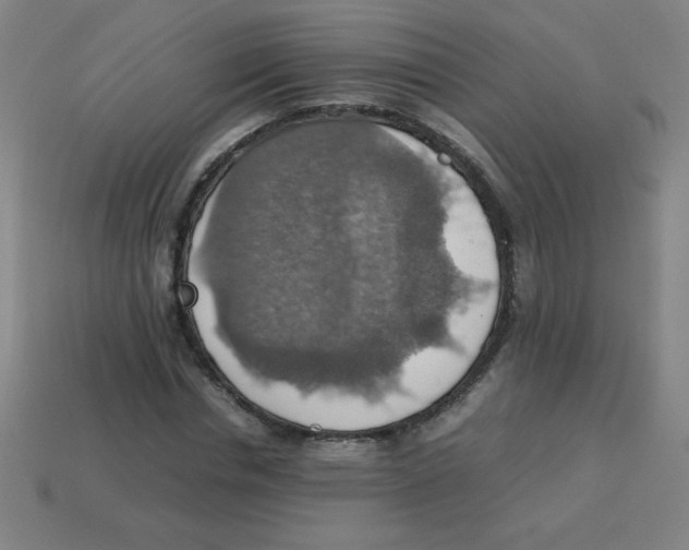 X0000113780826200910211203