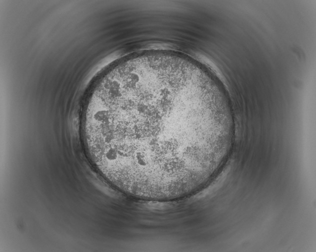 X0000113780827200910211203