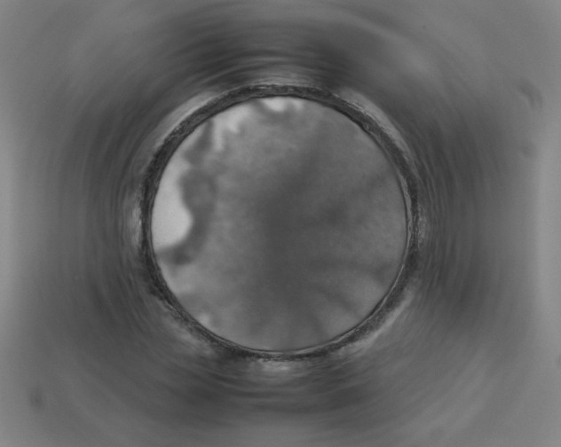 X0000113780829200910211203