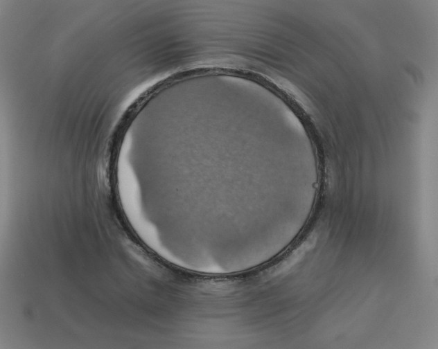 X0000113780830200910211203
