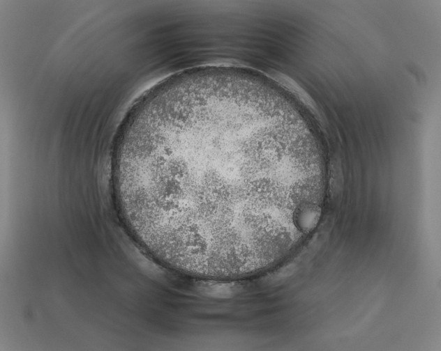 X0000113780831200910211203