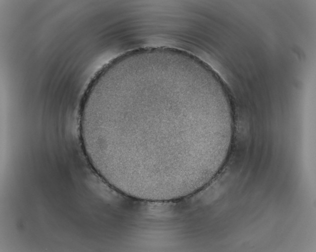 X0000113780832200910211203