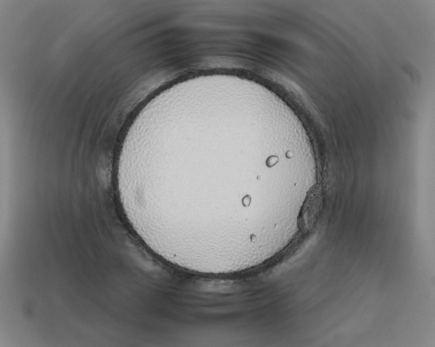 X0000113780833200910211203