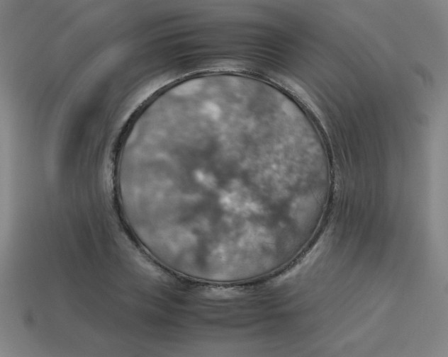 X0000113780835200910211203