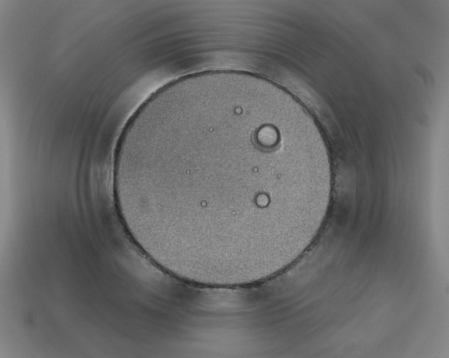 X0000113780836200910211203