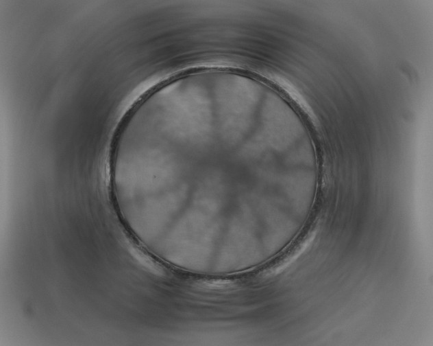 X0000113780837200910211203