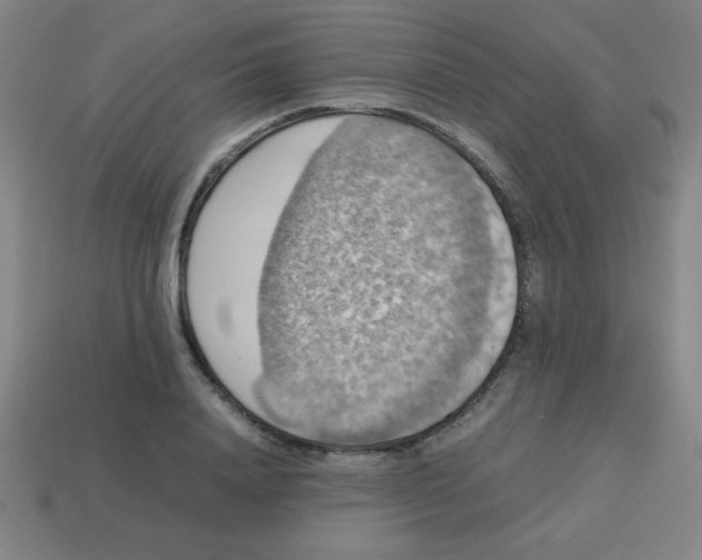 X0000113780840200910211203