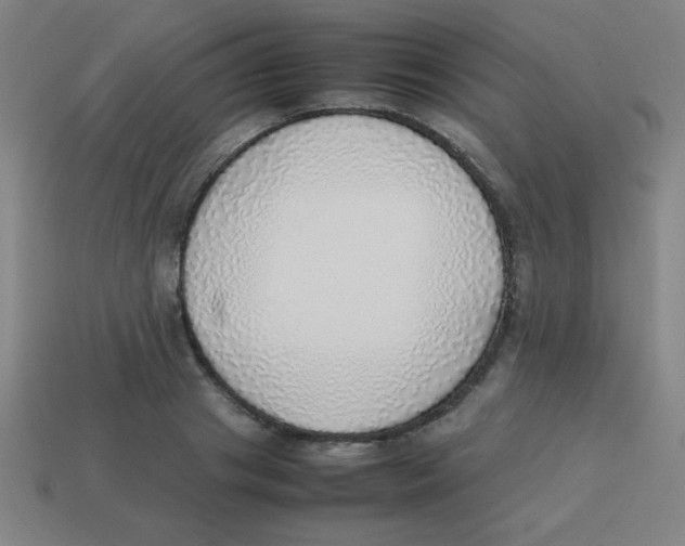 X0000113780841200910211203