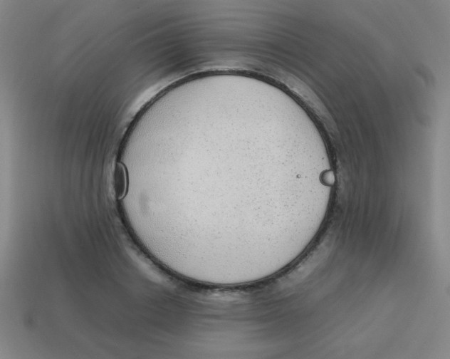 X0000113780842200910211203