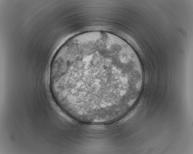 X0000113780844200910211203
