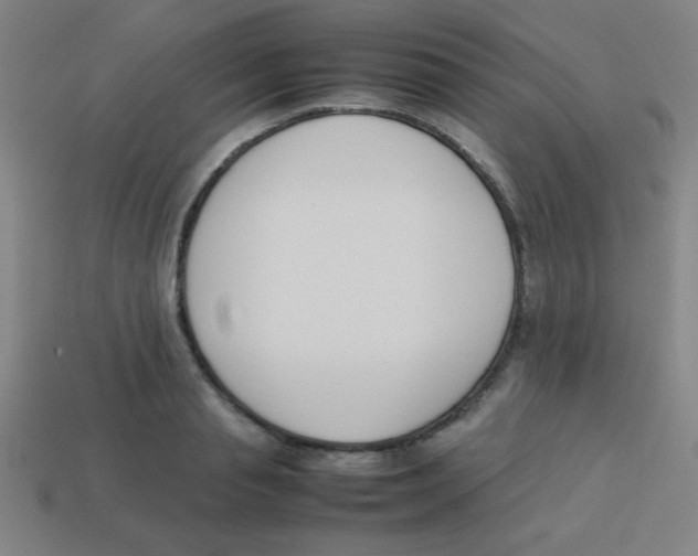 X0000113780845200910211203