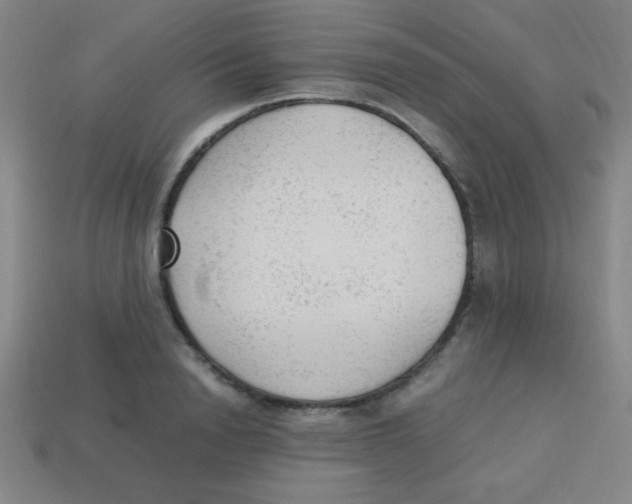 X0000113780846200910211203