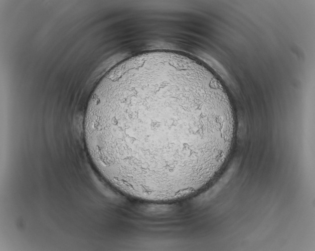 X0000113780849200910211203