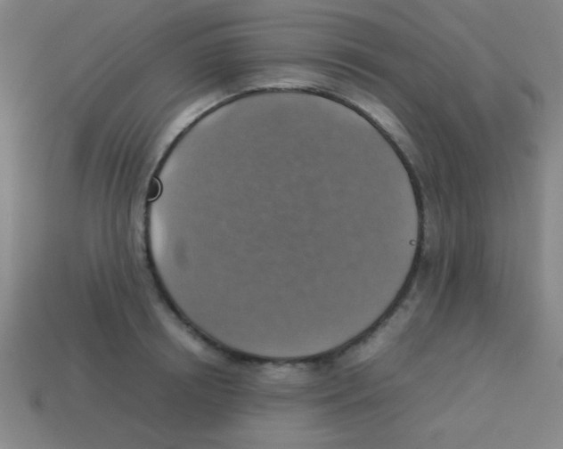 X0000113780850200910211203