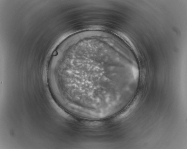 X0000113780851200910211203