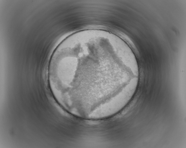 X0000113780852200910211203