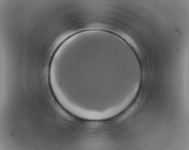 X0000113780854200910211204