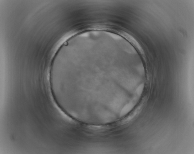 X0000113780855200910211204