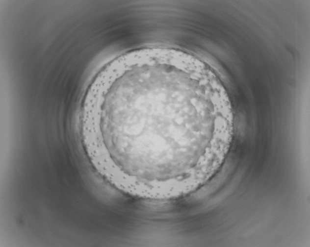 X0000113780856200910211204