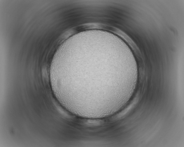 X0000113780857200910211204