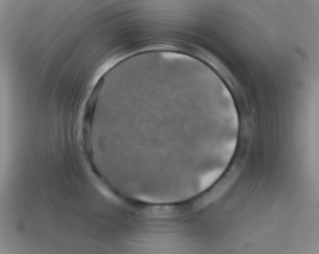 X0000113780858200910211204