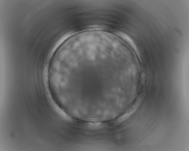 X0000113780859200910211204