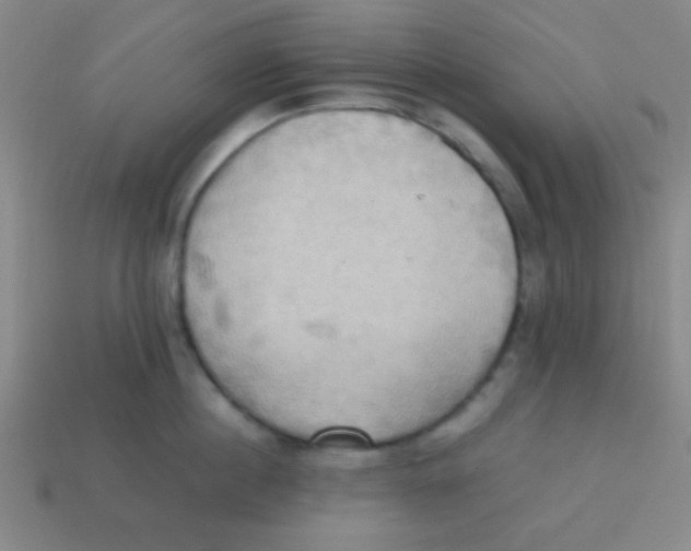 X0000113780860200910211204