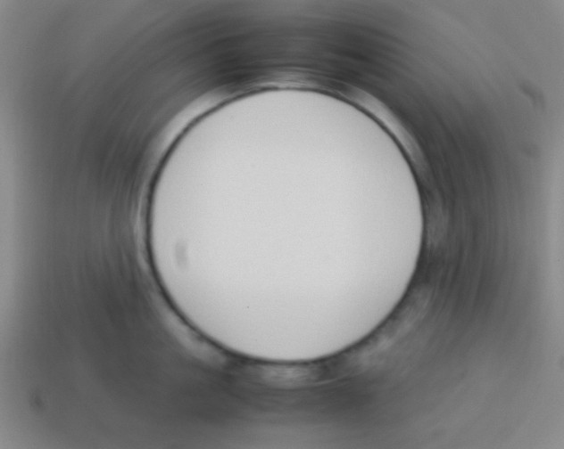 X0000113780861200910211204