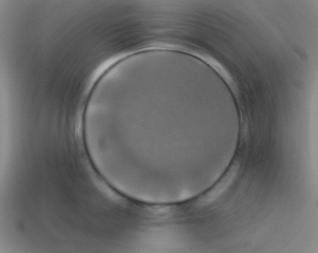 X0000113780862200910211204