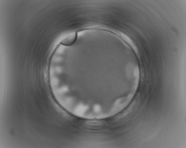 X0000113780863200910211204