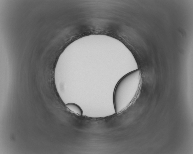 X0000113780865200910211203