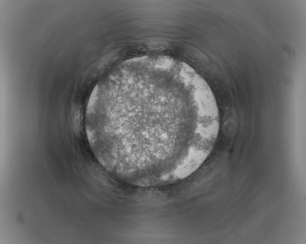 X0000113780866200910211203