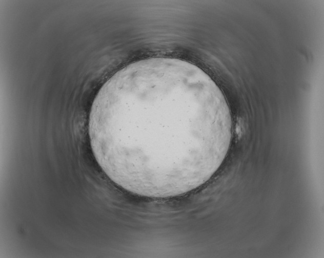 X0000113780867200910211203