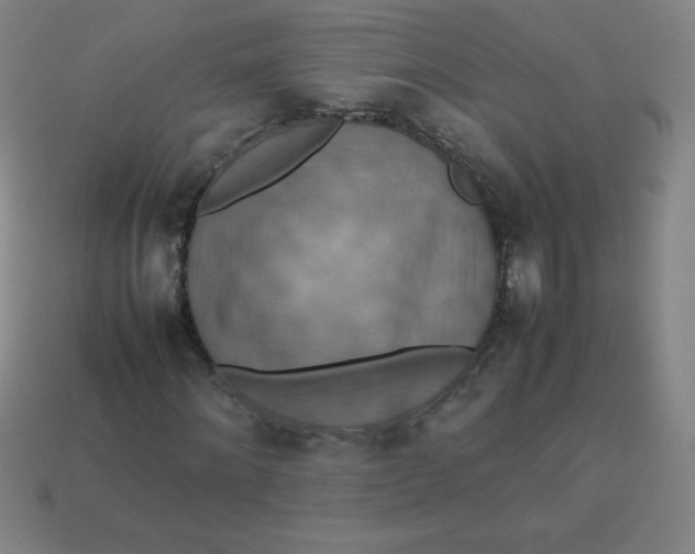 X0000113780868200910211203