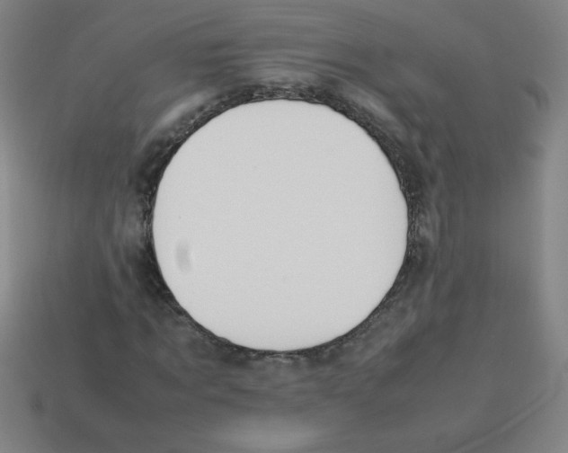 X0000113780869200910211203