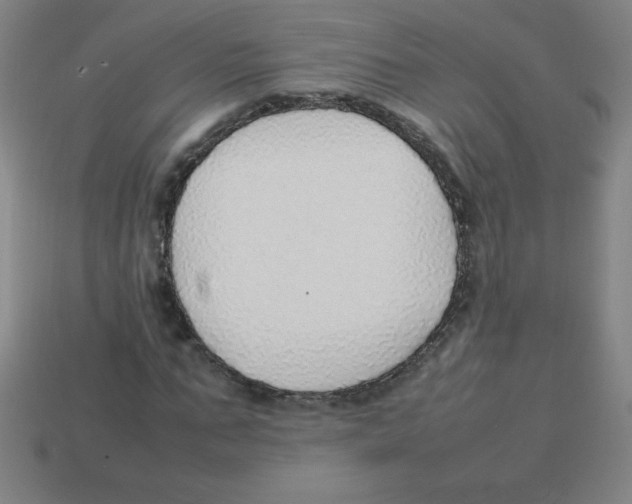 X0000113780871200910211203