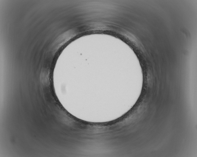 X0000113780873200910211203