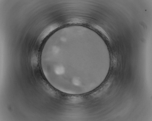 X0000113780874200910211203