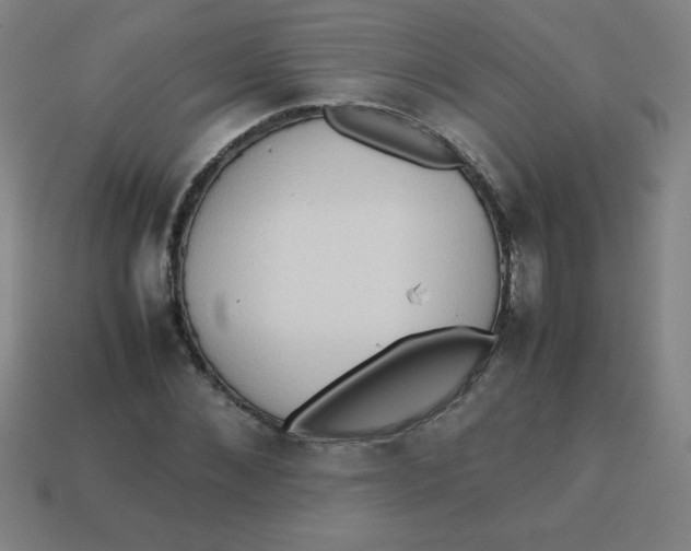 X0000113780876200910211203